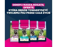 EUKANUBA Premium nutrition mature Small breed vištiena – sausas Maistas šunims – 3kg