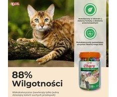 Kačių Priedas - INABA Churu Įvairovės Vištiena ir Tunas 50 x 14g Be Gluteno