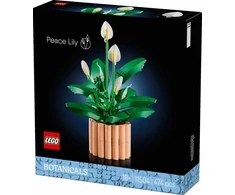 LEGO botanical collection - skrzydłokwiat 11504