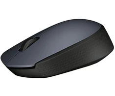 Logitech Bevielė pelė m170 belaidė pelė pilkas 910-004642