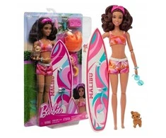 Lėlė banglentininkė Barbie HPL69, su priedais