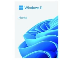 Operacinės sistemos Microsoft Windows 11 Home, 64Bit, USB atmintinė