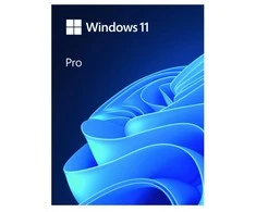 Operacinės sistemos Microsoft Windows 11 Pro, 64 bitų, Angliška versija, USB