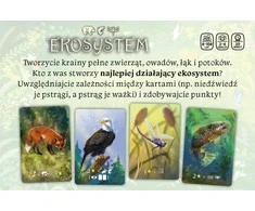 Stalo žaidimas Ekosistema. Naujas leidimas Nasza Księgarnia, PL