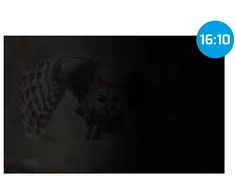 „Natec Owl“ 14' 16:10 (302 x 189 mm)