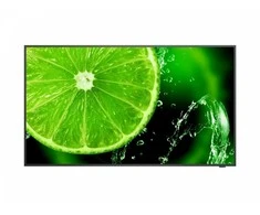 Monitorius NEC E328-2 32 colių LED LFD FHD ekranas