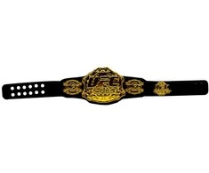 „Pmi Kids World UFC“ AŠTUONKAMPIŲ KOVOTOJŲ 1 S2 LEGENDINĖS KOVOS – ALDO PRIEŠ McGREGORĄ