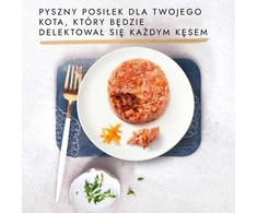Purina Nestle Katės maistas - PURINA Gourmet Gold Skanus pyragas šlapias maistas 48x85g 17% baltymų