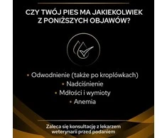 Purina Pro Plan Veterinary Diets NF Renal Function – drėgnas ėdalas šunims – 400g