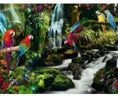 Ravensburger Dėlionė 2000 vnt. - Papūgos džiunglėse