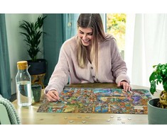 Ravensburger "2D" Dėlionė 1000 vnt. - Biblioteka