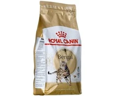 Royal canin bengal adult - sausas maistas dla dorosłego kota - 2kg