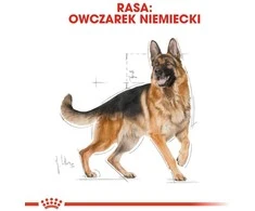Royal canin bhn german sh ad - sausas maistas šuniui dorosłego - 11 kg