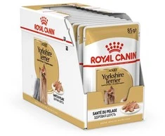 Royal Canin Bhn Yorkshire Terrier Adult - šlapias maistas suaugusiems šunims - 12x85g