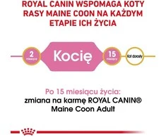Royal canin fbn maine coon kitten - sausas maistas dla kociąt - 4kg