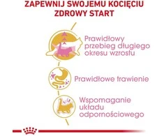 Royal canin fbn maine coon kitten - sausas maistas dla kociąt - 4kg