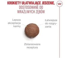 Sausas kačių ėdalas ROYAL CANIN FHN Ageing 11+, 400g
