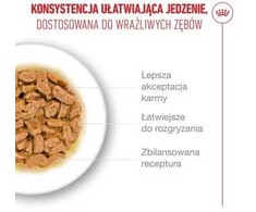 Kačių Maistas - Royal Canin Ageing 15+ Gabaliukai padaže 12x85g