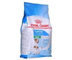 Sausas Šunų Maistas - Royal Canin Shn Mini Starter Mama Ir Šuniukas 4kg
