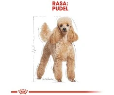Royal canin poodle 1,5kg