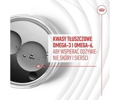 Gyvūnų Maistas - ROYAL CANIN Šunų Odos ir Kailio Suaugusiųjų 240g Be Cukraus Be Sojų