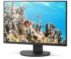 Monitorius Sharp DD-EA242W Juodas 24IN IPS - 1920X1200 16:10 300CD