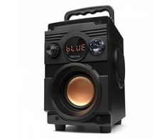 Squeak Bassblaster bluetooth 5.1 garsiakalbis, fm radijas, mp3 grotuvas sq1001