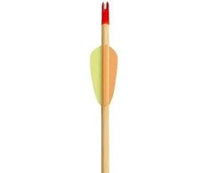 Poe Lang Ek Poe Lang Target Wooden 30″ D-027A-B1 Medinės strėlės 5 vnt.