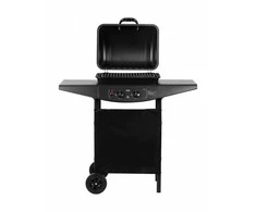 Teesa Dujinis grilis bbq 2000 - 2 degikliai