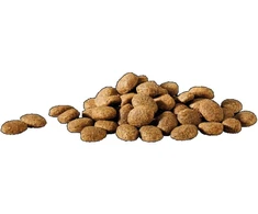 Versele Laga HappyLife Essential sausas maistas su vištiena suaugusiems šunims 20kg