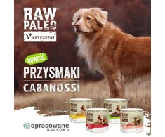 VetExpert Raw Paleo Cabanossi jautiena medium large 100g