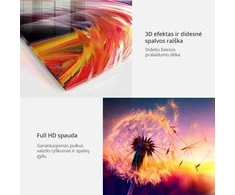 Artgeist Akrilo stiklo paveikslas - Sidabrinis Serenity