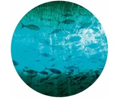 Artgeist Apvalus fototapetas - A shoal of dark fish