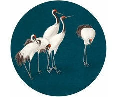 Artgeist Apvalus fototapetas - Evening by the pond - a group of cranes drawn in dry pastel on a dark turquoise background