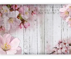 Artgeist Fototapetas - Apple Blossoms
