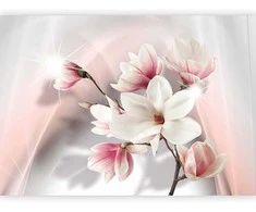 Artgeist Fototapetas - Baltas magnolias
