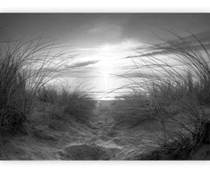 Artgeist Fototapetas - beach (juodas and baltas)