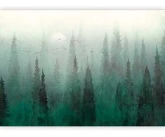 Artgeist Fototapetas - Bird's eye perspective - landscape of a žalias forest with trees in the mist