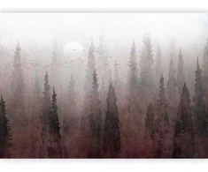 Artgeist Fototapetas - Bird's flight over treetops - landscape of a dark forest in fog