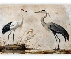 Artgeist Fototapetas - Birds from an old engraving - vintage-style illustration depicting a heron and a crane