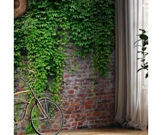 Artgeist Fototapetas - Brick and ivy