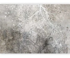 Artgeist Fototapetas - Clear Branching