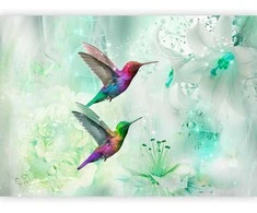 Artgeist Fototapetas - Colourful Hummingbirds (Žalias)