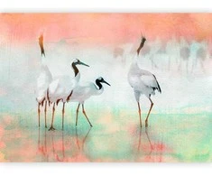 Artgeist Fototapetas - Cranes in Pastels
