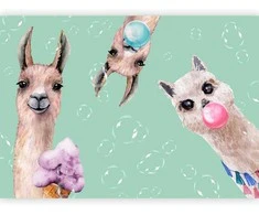 Artgeist Fototapetas - Crazy Llamas