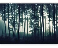 Artgeist Fototapetas - Dark Forest