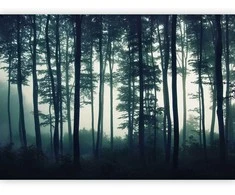 Artgeist Fototapetas - Dark Forest