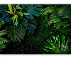 Artgeist Fototapetas - Dark Jungle