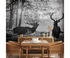 Artgeist Fototapetas - Deers in the Morning