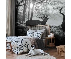 Artgeist Fototapetas - Deers in the Morning